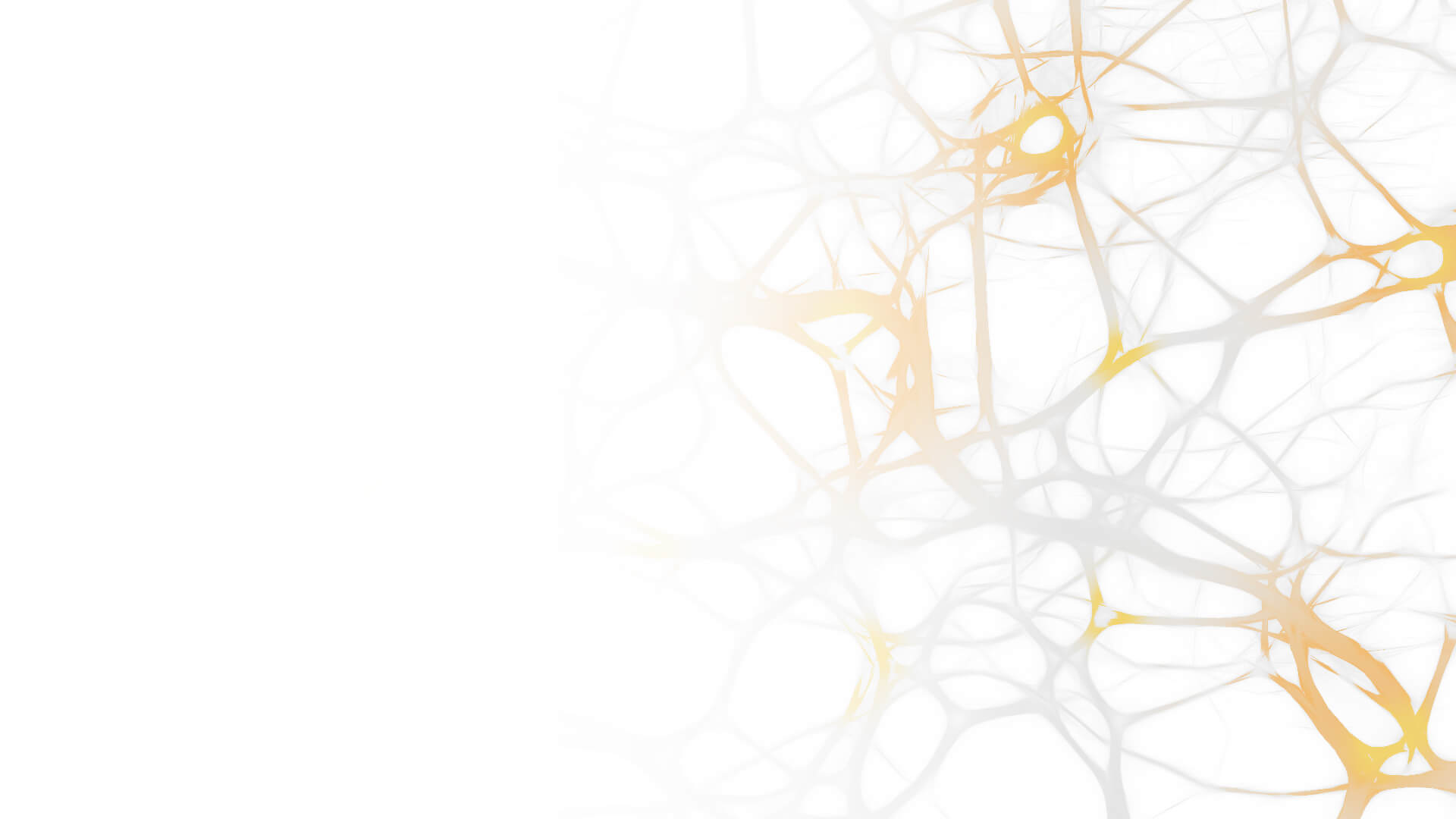 Attorneys Legal Research